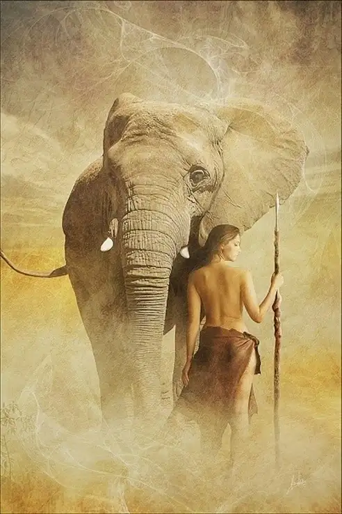 Elephant